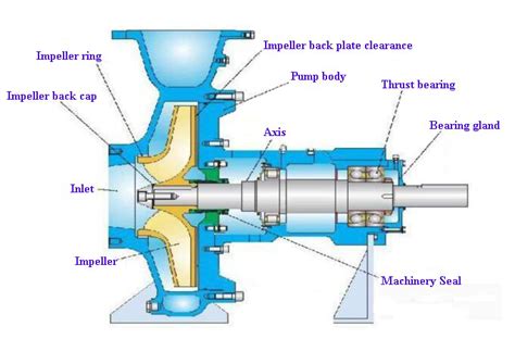 centrifugal pump without motor|centrifugal pump parts and function.